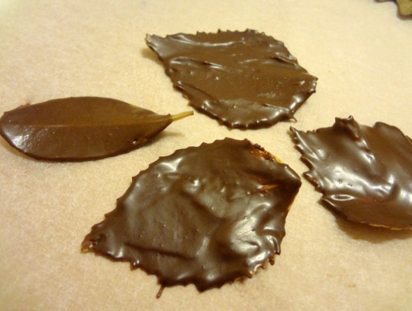 Шаг 4 - нанесите шоколад на другие листики