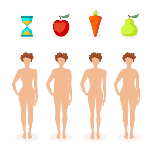 Четыре типа женского тела