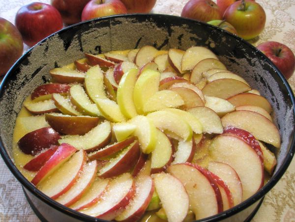  Бисквитная шарлотка с яблоками - шаг 6