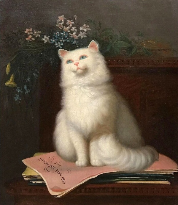  Портрет кошки. Холст, масло. 19 век. Неизвестный художник американской школы